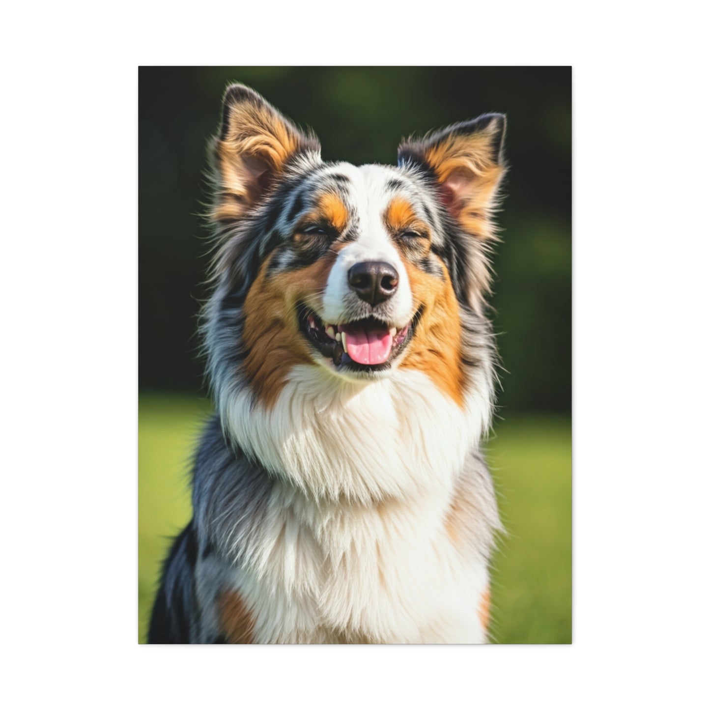 Bright Meadow Aussie Smile Wall Art & Canvas Print