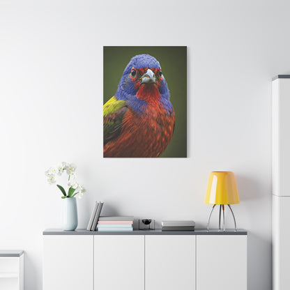 Vibrant Colorburst Sparrow Portrait Wall Art & Canvas Prints