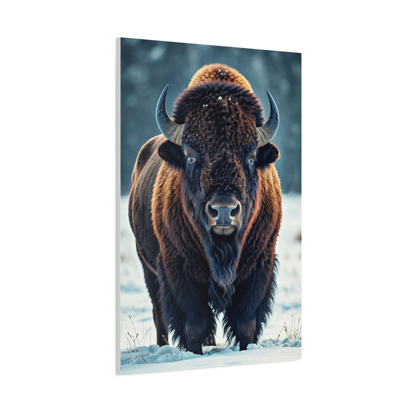 Winter American Bison in Snow Landscape Wall Art & Canvas Print