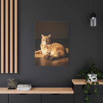 Sunlit Feline Serenity Wall Art & Canvas Print