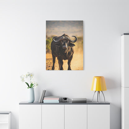 Powerful Buffalo Staring Forward Wall Art & Canvas Prints
