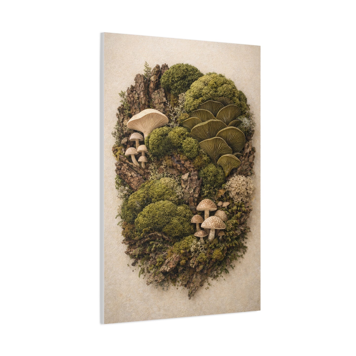 Preserved Moss & Fungi Woodland Collage Wall Art & Canvas Print