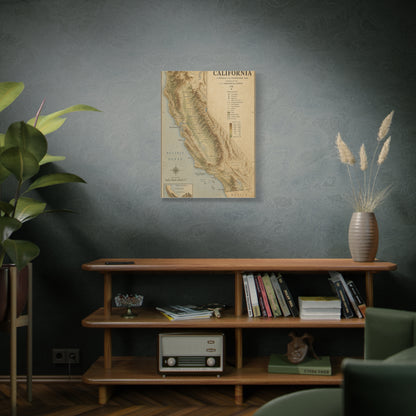 Vintage California Topographic Map Wall Art & Canvas Print