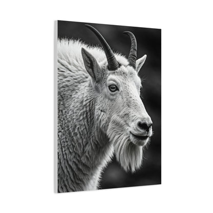 Alpine Goat Portrait Wall Art & Canvas Prints