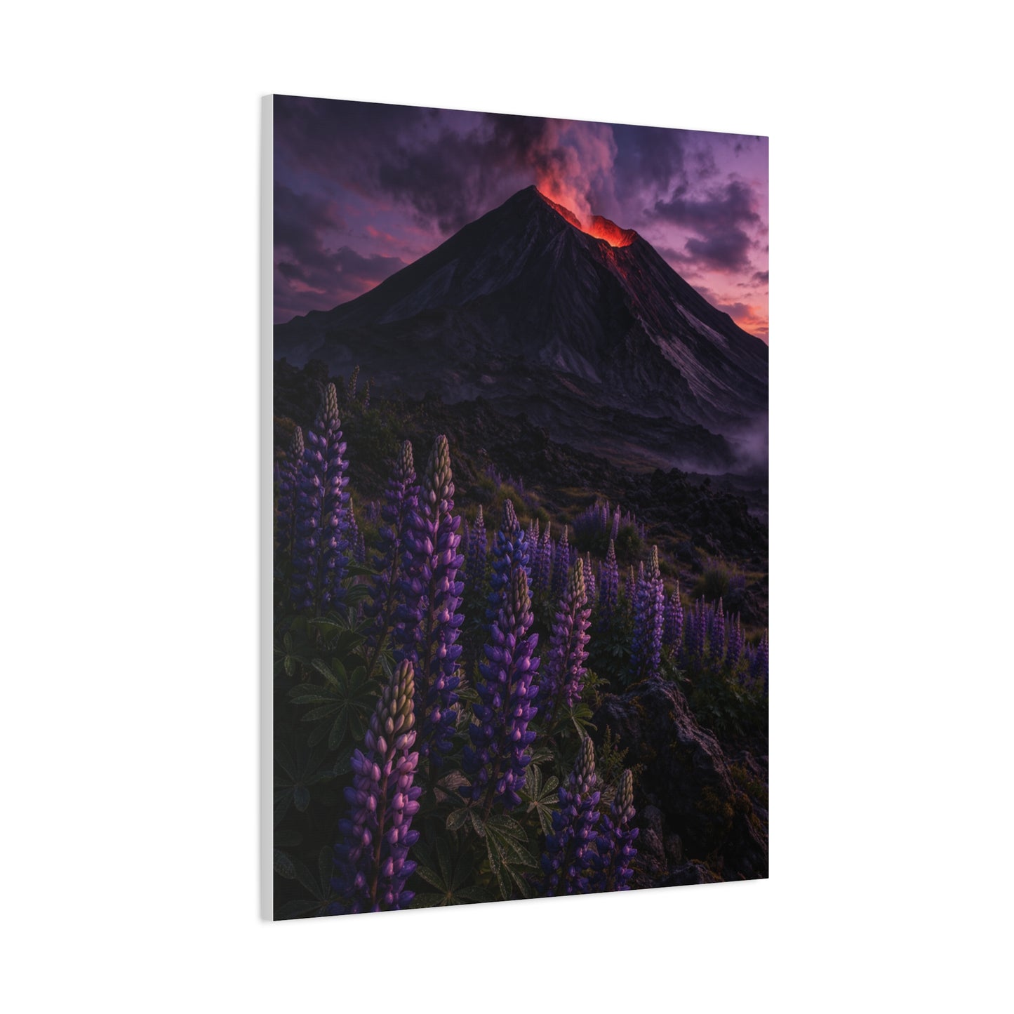 Volcanic Twilight & Wild Lupines Wall Art & Canvas Print