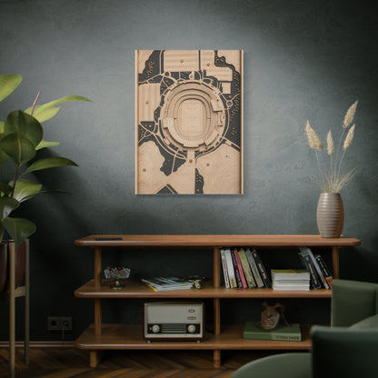 Topographic Stadium Map Sports Wall Art & Canvas Print