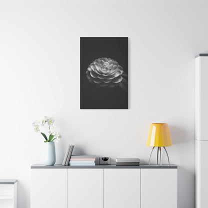 Full Bloom Camellia in Deep Contrast Wall Art & Canvas Prints