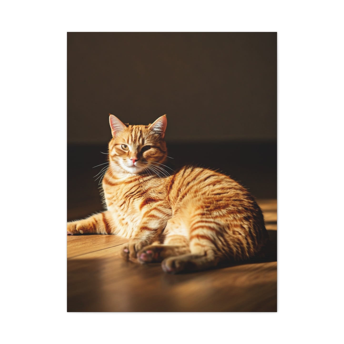 Sunlit Feline Serenity Wall Art & Canvas Print