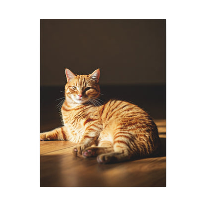 Sunlit Feline Serenity Wall Art & Canvas Print