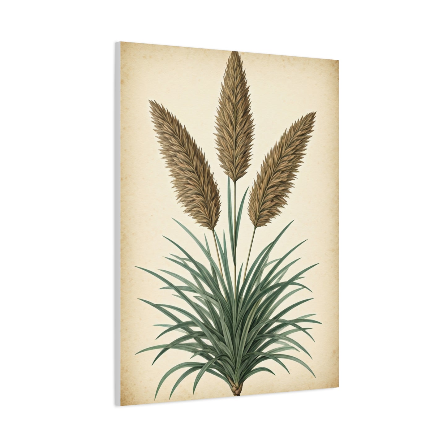 Wild Grass and Seed Heads Illustration Wall Art & Canvas Prints