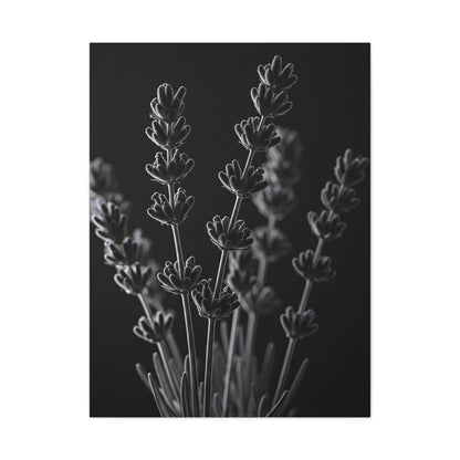 Lavender Silhouette Study Wall Art & Canvas Prints
