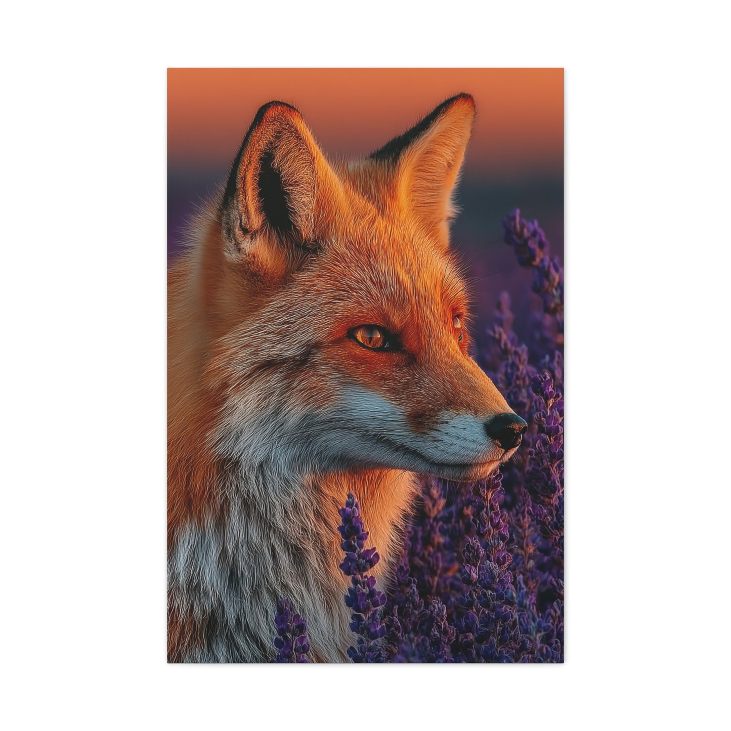 Lavender Field Fox Sunrise Wall Art & Canvas Print