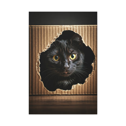 Curious Black Cat Peek Wall Art & Canvas Prints