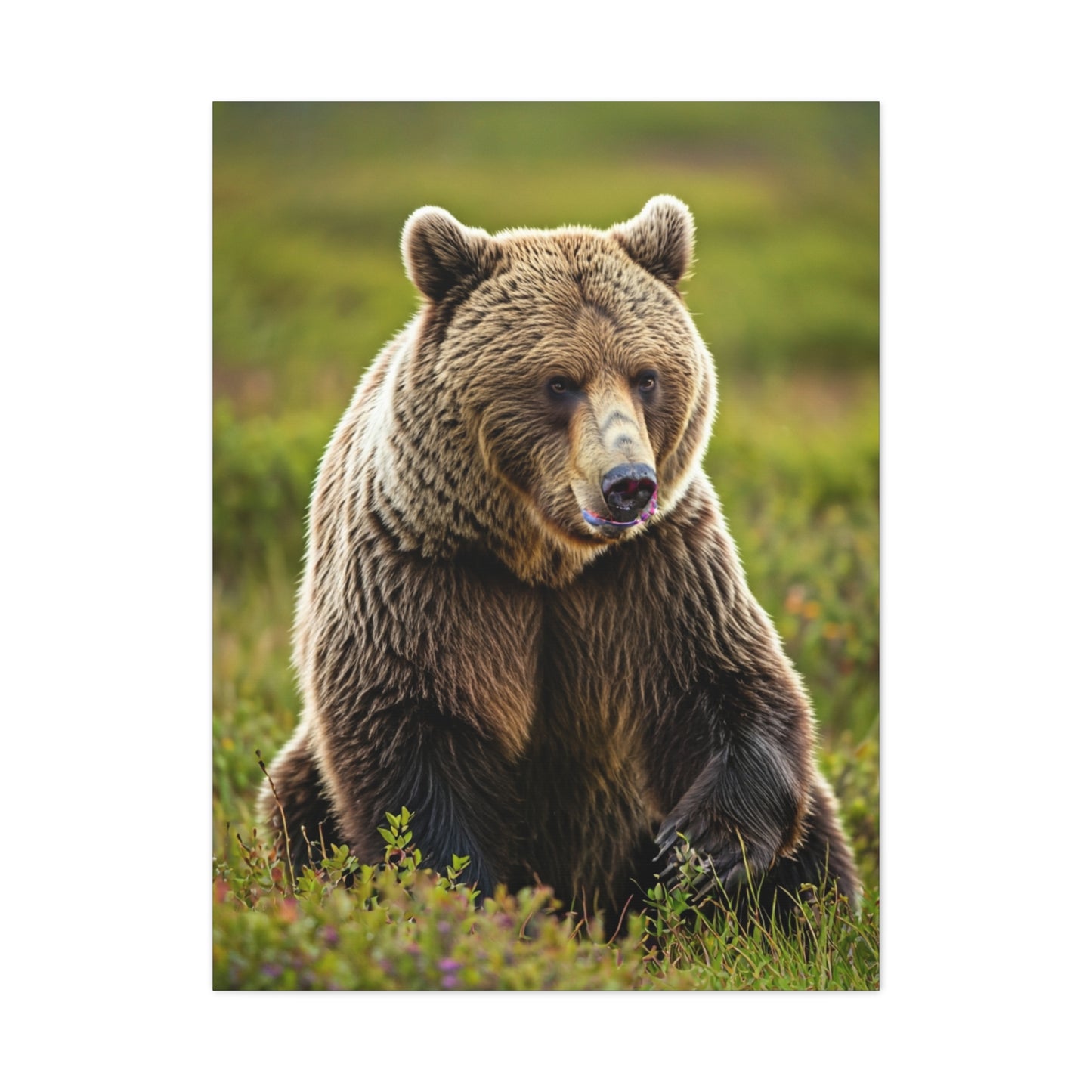 Wild Brown Bear Portrait wall art & canvas prints