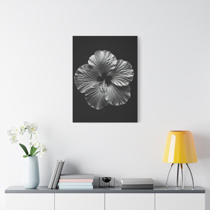 Monochrome Hibiscus Elegance Wall Art & Canvas Prints