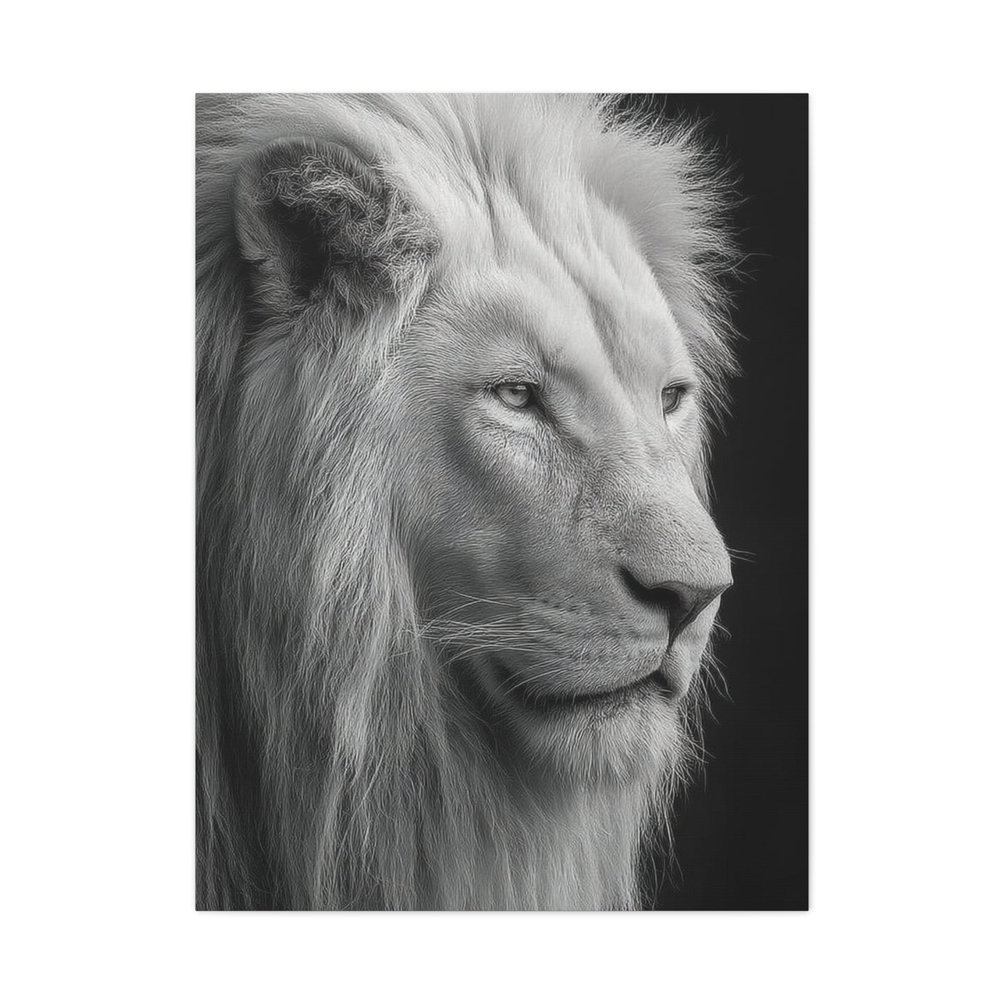 White Lion Monochrome Close Portrait Wall Art & Canvas Print