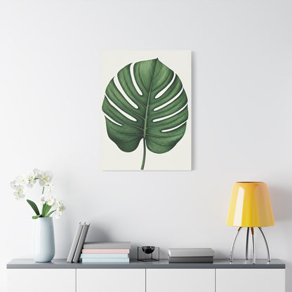Monstera Leaf Illustration Wall Art & Canvas Prints