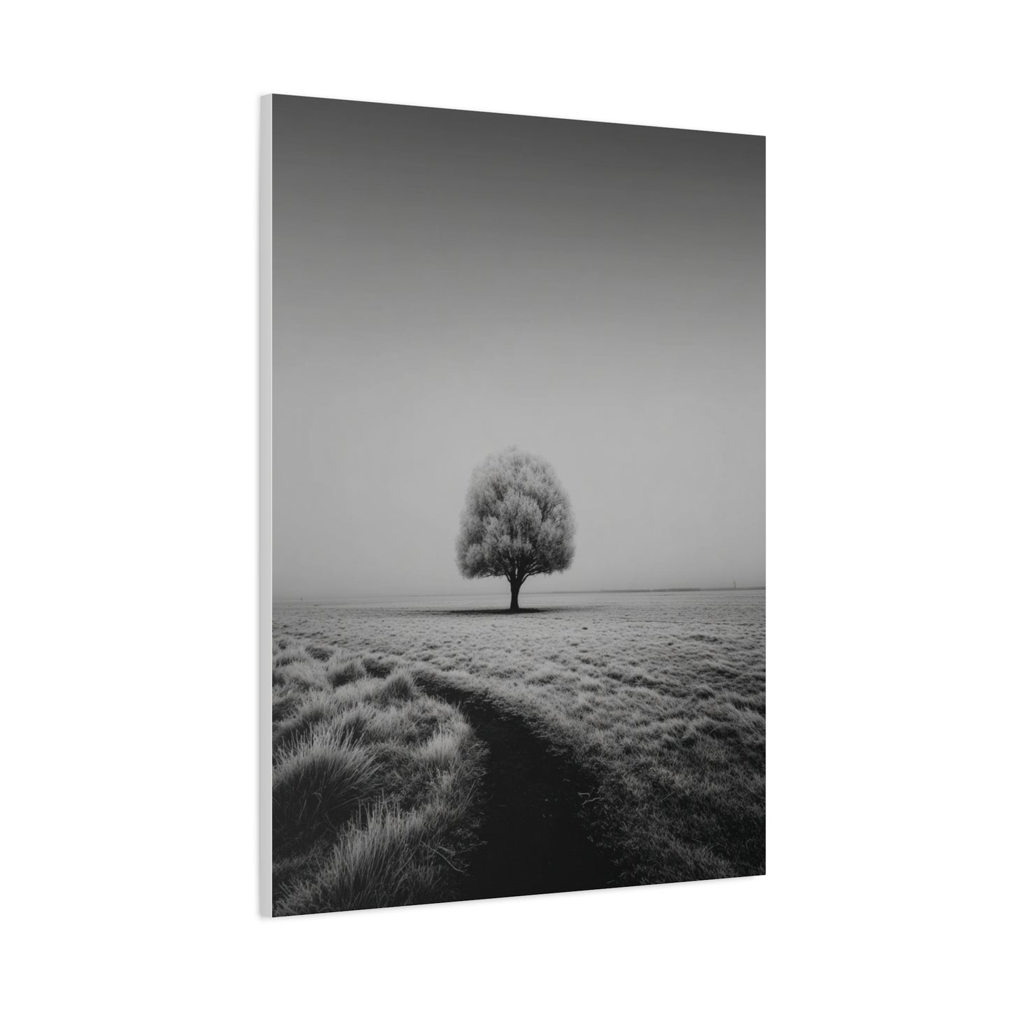 Lone Tree Winter Field Wall Art & Canvas Print
