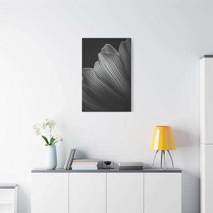 Sculpted Daffodil Bloom Study Wall Art & Canvas Prints