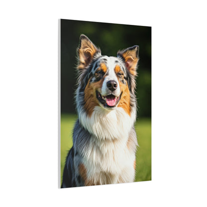 Bright Meadow Aussie Smile Wall Art & Canvas Print