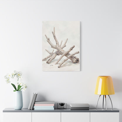 Weathered Driftwood Sculpture Wall Art & Canvas Prints