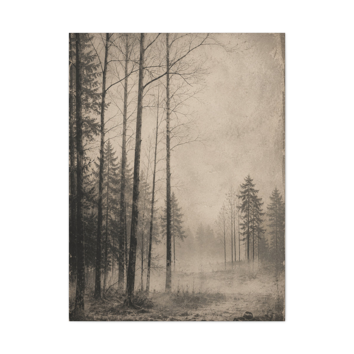 Vintage Fog Forest Monochrome Trees Wall Art & Canvas Print
