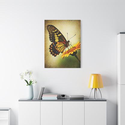 Golden Meadow Butterfly on Flower Wall Art & Canvas Prints