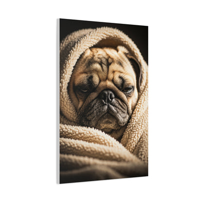Wrapped in Warmth Pug Wall Art & Canvas Print