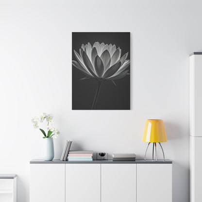Dramatic Hibiscus Petal Study Wall Art & Canvas Prints