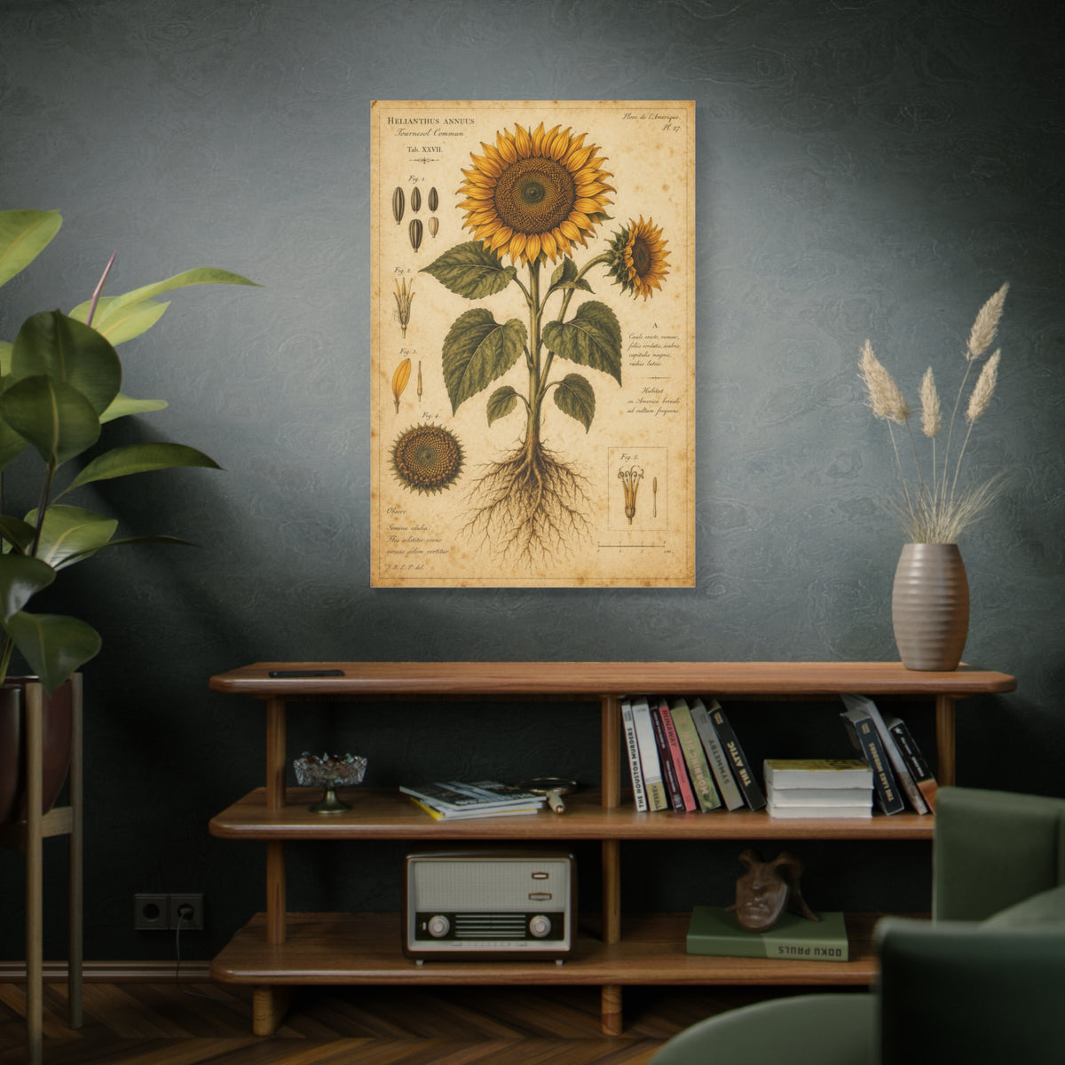 Vintage Botanical Sunflower Study Wall Art & Canvas Print