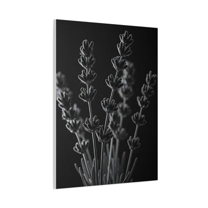 Lavender Silhouette Study Wall Art & Canvas Prints