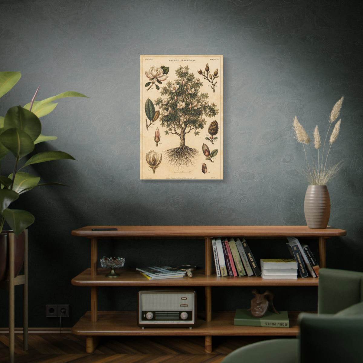 Vintage Magnolia Botanical Study Trees Wall Art & Canvas Print