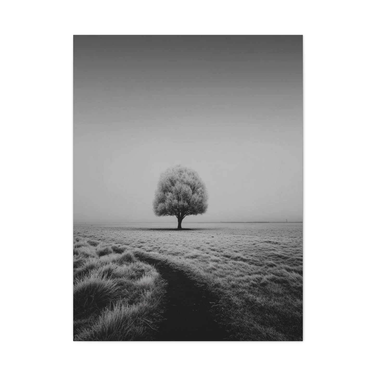 Lone Tree Winter Field Wall Art & Canvas Print