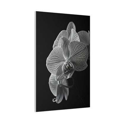 Elegant Orchid Portrait Monochrome Wall Art & Canvas Prints