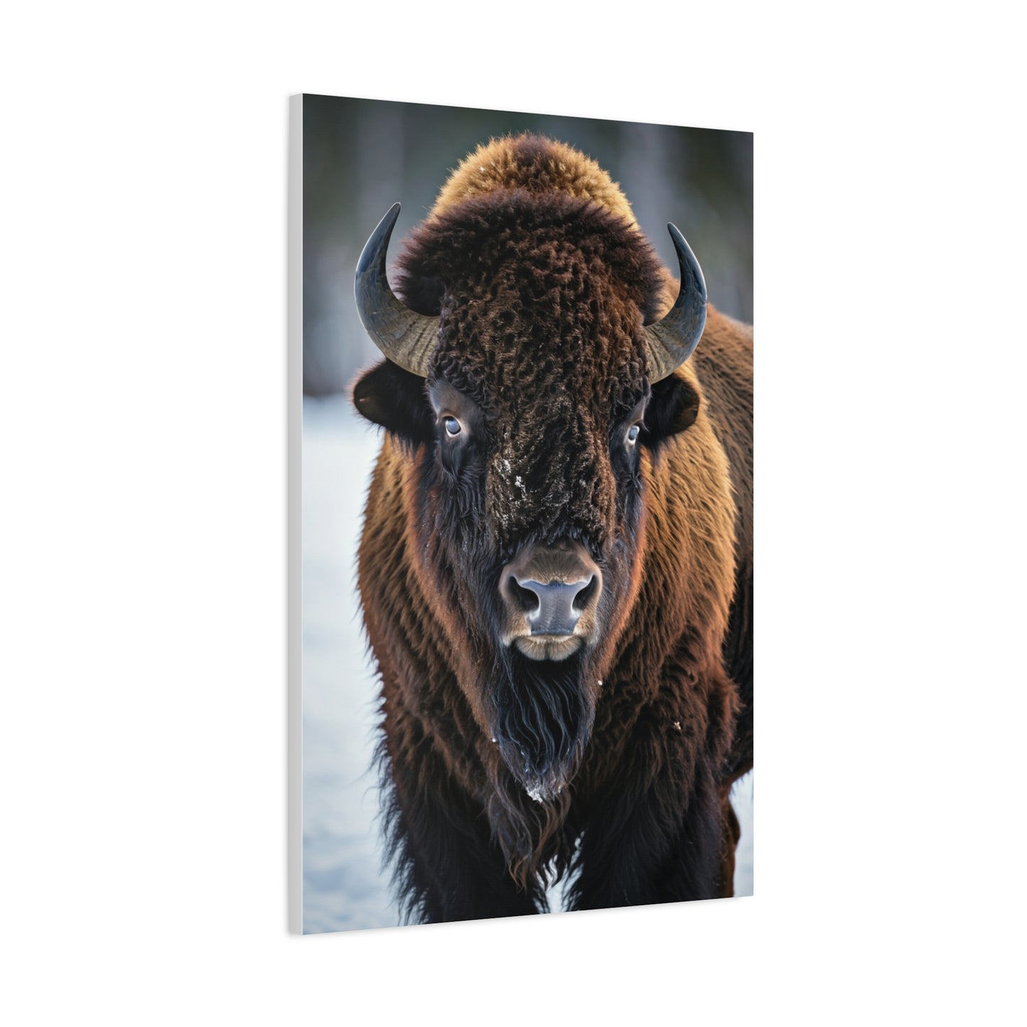 Minimalist American Bison Portrait on Light Background Wall Art & Canvas Print