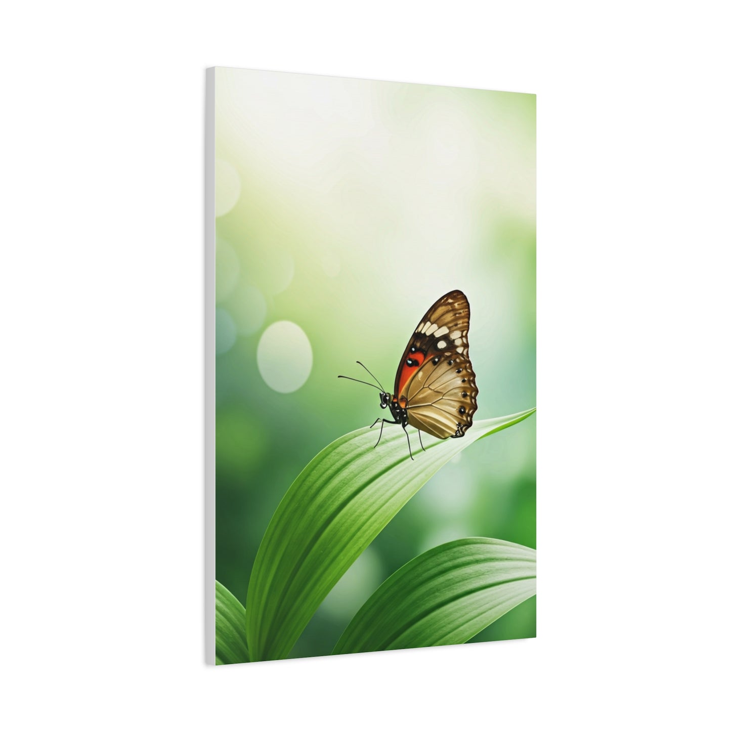 Leaf Rest Butterfly Wall Art & Canvas Prints