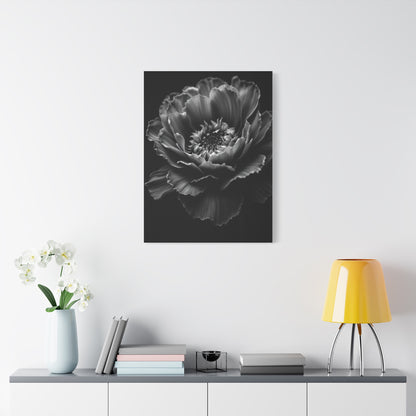 Layered Peony in Soft Shadow Wall Art & Canvas Prints
