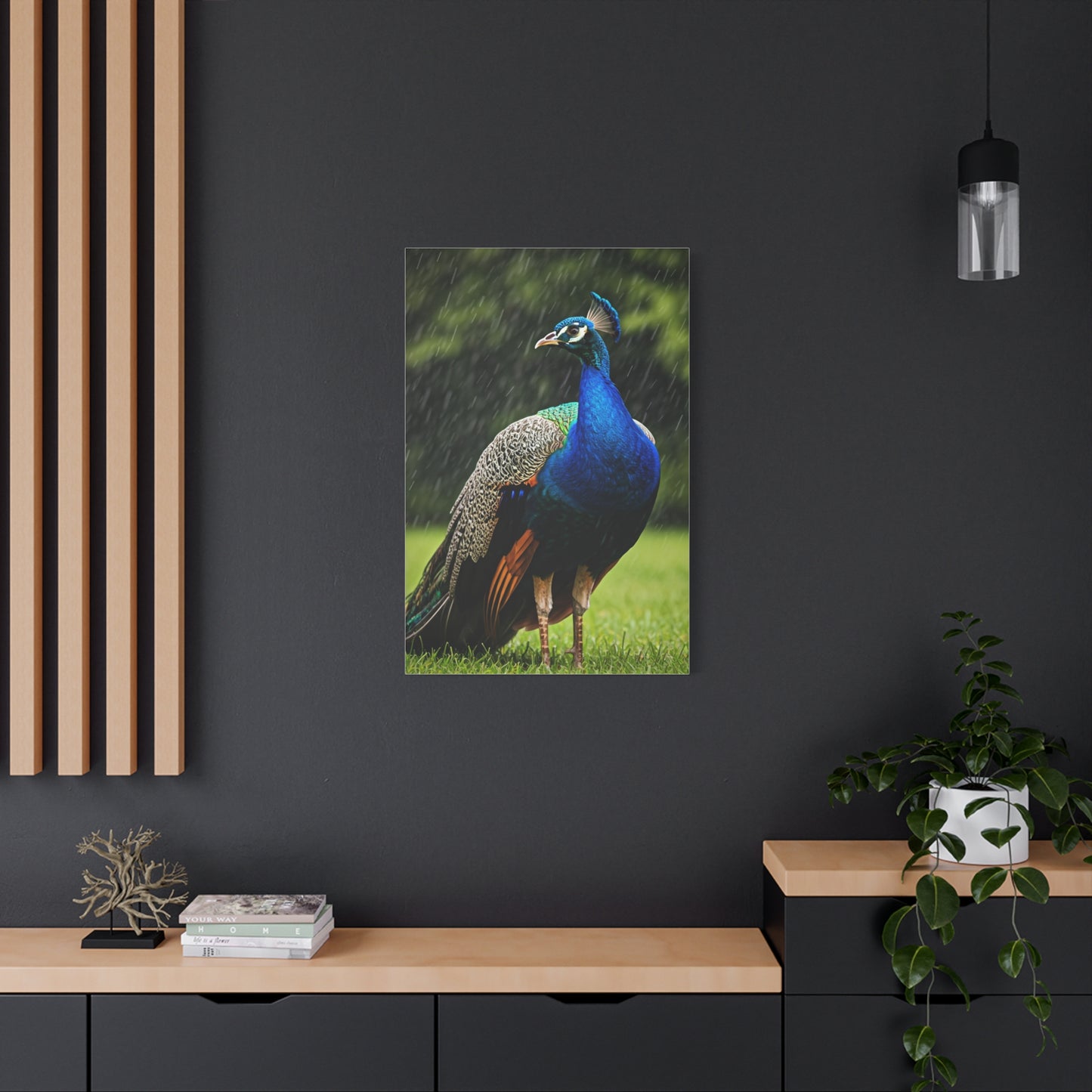 Majestic Peacock in the Rain Wall Art & Canvas Prints
