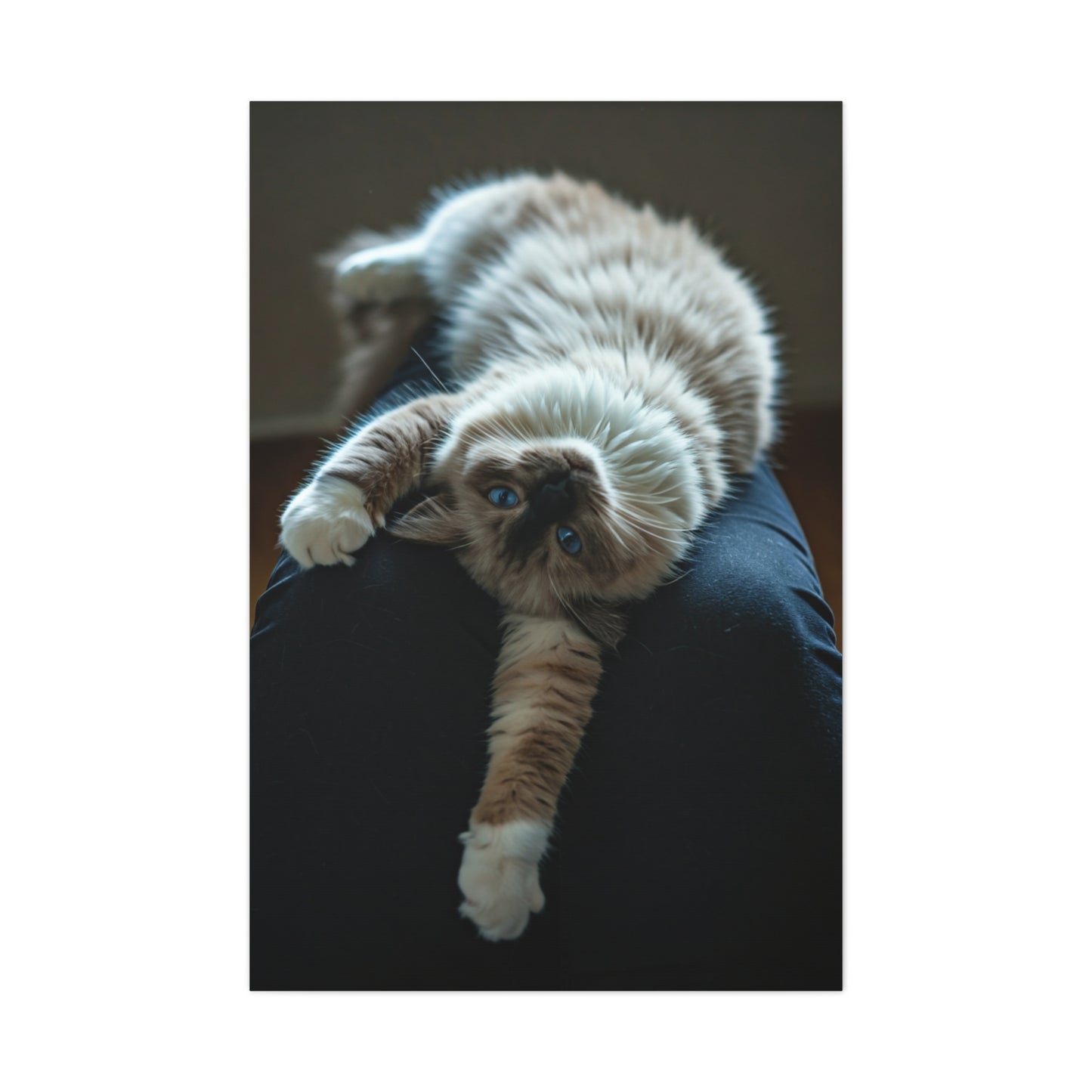 Serene Blue-Eyed Cat Wall Art & Canvas Prints