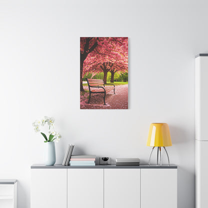 Cherry Blossom Park Bench Serenity Wall Art & Canvas Prints