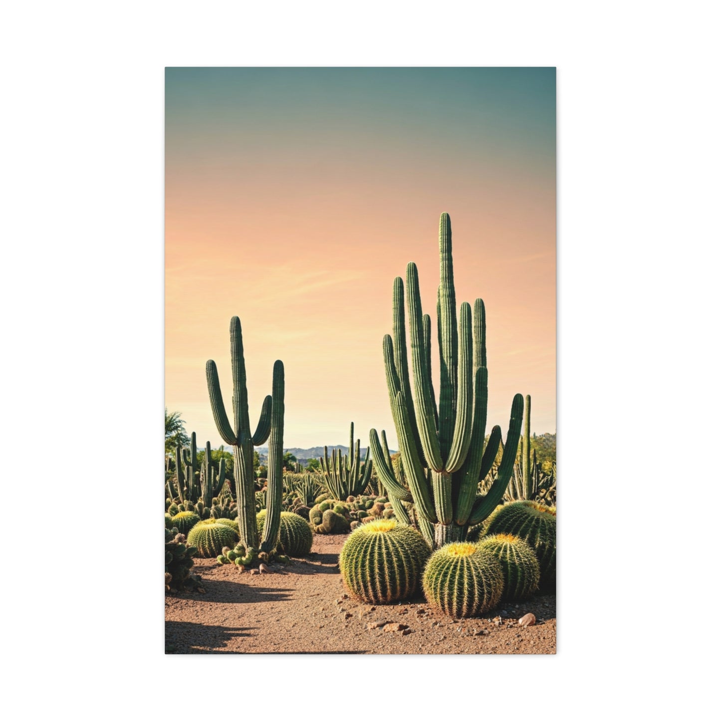 Sonoran Desert Cactus Garden Wall Art & Canvas Prints
