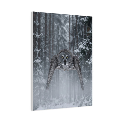 Great Grey Owl Winter Flight Wall Art & Canvas Print