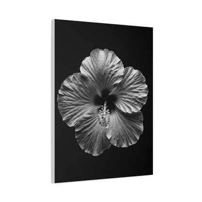 Monochrome Hibiscus Elegance Wall Art & Canvas Prints