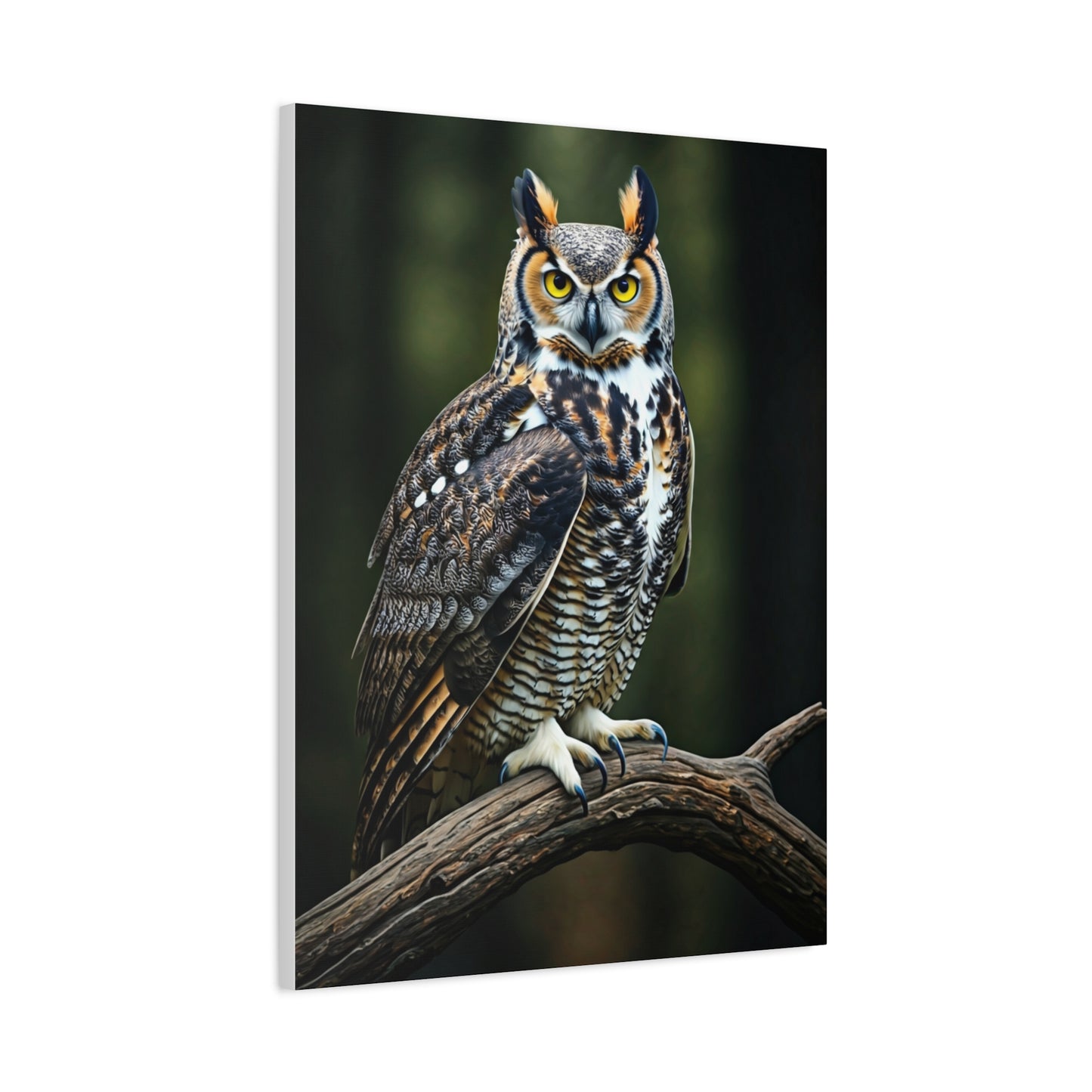 Majestic Owl Perch Wall Art & Canvas Prints