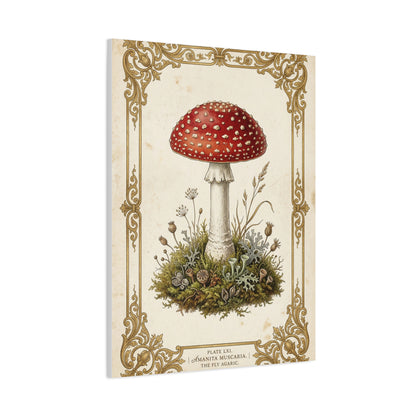 Victorian Botanical Mycology Plate Wall Art & Canvas Print