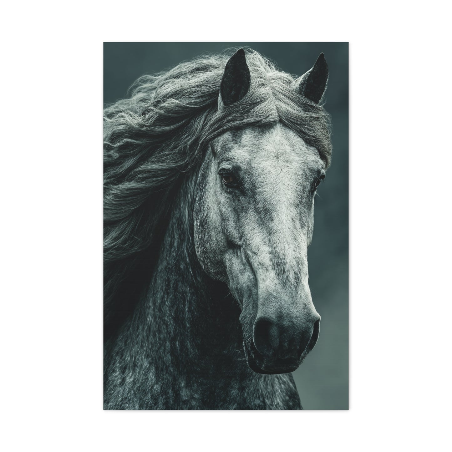 Silver Horse Portrait Wall Art & Canvas Print