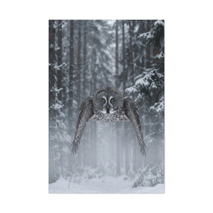 Great Grey Owl Winter Flight Wall Art & Canvas Print