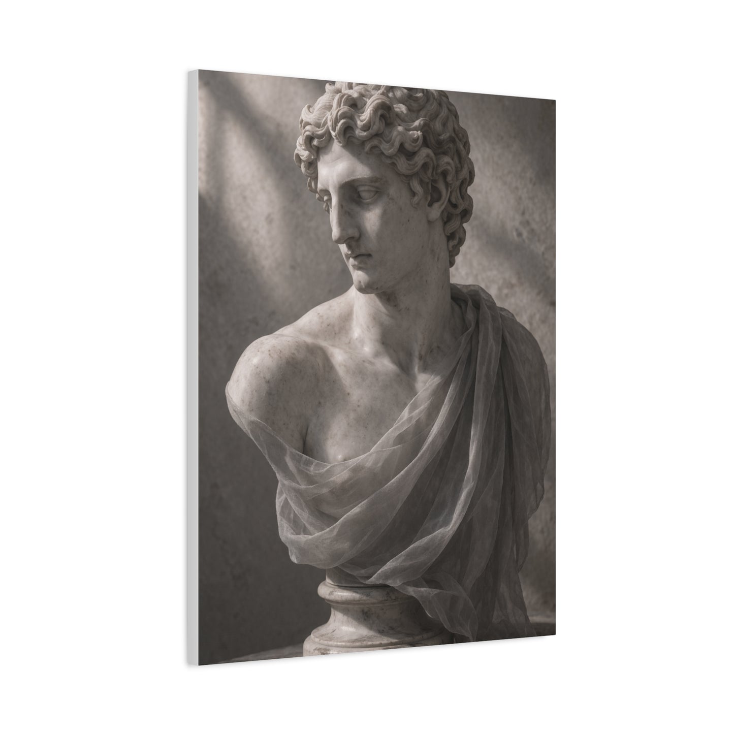 Classical Marble Bust Draped Wall Art & Canvas Print
