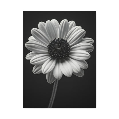 Bold Daisy Contrast Portrait Wall Art & Canvas Prints