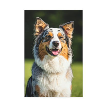 Bright Meadow Aussie Smile Wall Art & Canvas Print